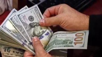 استقرار سعر الدولار في البنوك وارتفاعه بالسوق الموازية ليصل إلى 50.78 جنيه