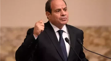 السيسي يوجه بإنشاء منصة وطنية تفاعلية لاستقبال أفكار ومبادرات شباب مصر