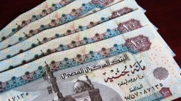 بدء صرف معاش تكافل وكرامة لأكثر من 4.7 مليون أسرة منتصف أغسطس