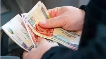 بنك ناصر يحدد موعد صرف معاشات سبتمبر مبكرًا للفئات المستحقة قبل الموعد المقرر