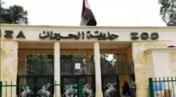 تطورات حديقة الحيوان بالجيزة: 118 فصيلة جديدة واستعدادات لاستقبال الأفيال قريباً