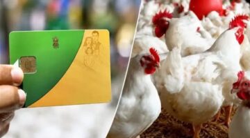 توفير الدواجن المجمدة على بطاقات التموين بخصم 25% بدءاً من يناير 2027