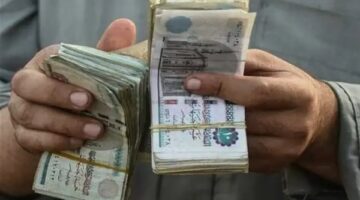 حقيقة صرف منحة 1500 جنيه للعمالة غير المنتظمة بمناسبة المولد النبوي 2026