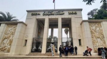 خطة تطوير حديقة الحيوان بالجيزة تشمل ربطها بالأورمان واستقدام 118 فصيلة حيوانية جديدة