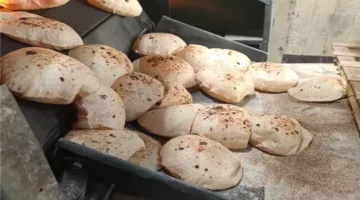 خلاف بين التموين وشعبة المخابز حول تسعيرة الخبز السياحي والفينو الجديدة