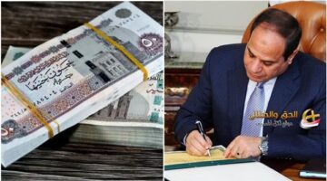 ضم صيادي البحر الأحمر للعمالة غير المنتظمة واختيارية صرف 9000 جنيه منحًا سنوية