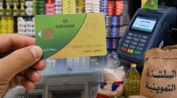 طريقة إضافة أفراد إلى بطاقة التموين إلكترونيًا عبر منصة مصر الرقمية ومتابعة الطلب
