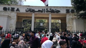 عودة الفيلة وحيوانات نادرة في المرحلة الأولى من حديقة الحيوان بالجيزة 2026