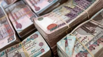 كيف تحدد محاكم الأسرة قيمة النفقة بناءً على الدخل والممتلكات والحسابات البنكية؟