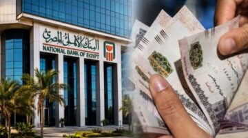 ما المبالغ المطلوبة في شهادات البنك الأهلي لتحقيق عائد 50 ألف جنيه؟