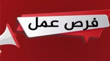 مديرية الصحة بالجيزة تفتح باب التقديم لمراجعين ماليين وإداريين عبر شروط محددة