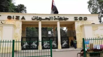 موعد افتتاح حديقة الحيوان بالجيزة في الربع الأخير من عام 2026