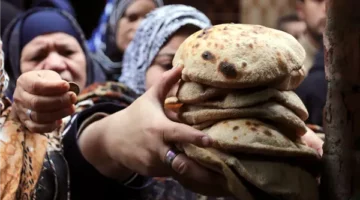 وزارة التموين تتيح سداد قيمة شيكارة الدقيق بـ 966 جنيها عبر إنستاباي