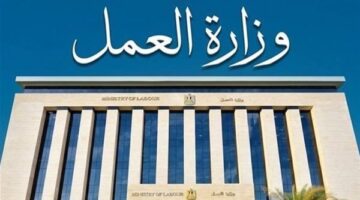وزارة العمل تطرح 159 وظيفة في ثلاث محافظات برواتب تصل إلى 8263 جنيهًا