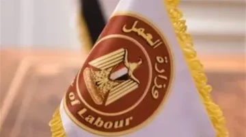 وزارة العمل تطرح 300 فرصة عمل لوظيفة سائق برواتب تصل 15 ألف جنيه