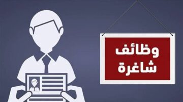 وزارة العمل تعلن عن فرص عمل برواتب تصل إلى 16 ألف جنيه
