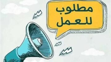 وزارة العمل تفتح باب التقديم لـ 300 وظيفة سائق برواتب مجزية