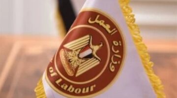 وزارة العمل توفر فرصاً بالصناعات الخشبية والطباعة للمغتربين بحد أدنى للأجور وتأمين